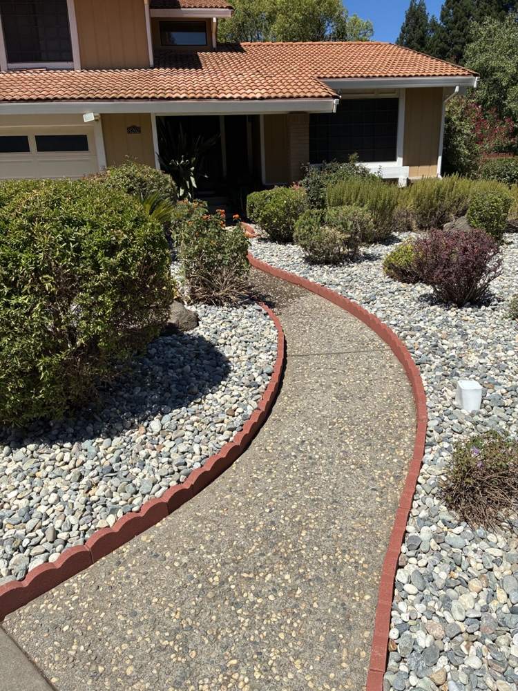Curved walkway with red brick edging